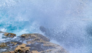 Ormanın ortasında terk edilmiş bir ev, Curacao.