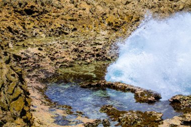 Ormanın ortasında terk edilmiş bir ev, Curacao.
