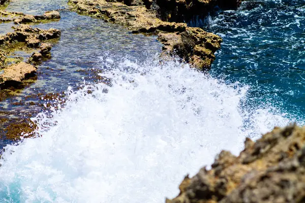 Ormanın ortasında terk edilmiş bir ev, Curacao.