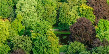Yeşilin farklı tonlarında çeşitli ağaçların bulunduğu yemyeşil bir parkın havadan görünüşü, yürüyüş yollarıyla çevrili küçük bir gölet..