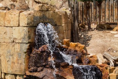 Arka planda ahşap çitlerle çevrili kuru bir manzarayla çevrili kayalık arazide çağlayan küçük bir şelale. Bazı aslanlar uzakta dinlenirken görülebilir..