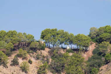 Bereketli yeşil çam ağaçları ve açık mavi gökyüzü olan kayalık bir yamaç manzarası. Ağaçlar tepenin zirvesinde kümelenerek doğal bir manzara oluştururlar..