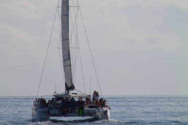 Pastanenin vitrininde fındıkla kaplı yeşil ve beyaz kremalı lezzetli kekler sergileniyor. Dulce de leche aroması için fiyat etiketi.