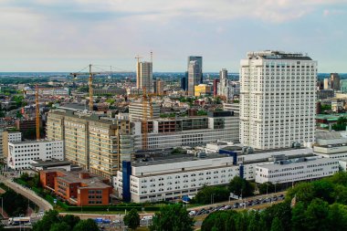 Yüksek binaların, inşaat vinçlerinin ve ticari yapıların karışımından oluşan modern şehir manzarası. Sahne, ön planda yeşillik olan hareketli bir şehir ortamı yakalıyor..