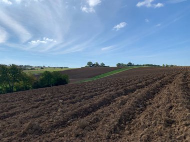 Almanya 'da güneşli bir havada mavi gökyüzüne karşı sürülen bir tarla. Uzakta ufukta ağaçlar var. Yatay fotoğraf.