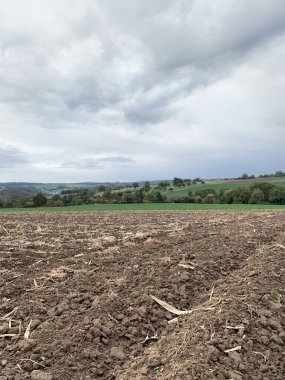 Sonbaharda Almanya 'da hasat sonrası ekilmiş bir tarla. Ufukta yeşil bir tarla, ağaçlar ve mavi-gri bir gökyüzü var. Dikey fotoğraf.