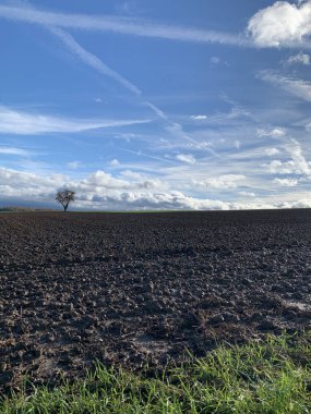 Ufukta yalnız bir ağaç, bulutlar ve yağmurdan sonra ıslak toprak parçalarıyla mavi gökyüzünün kavşağında duruyor. Güneşli havada Almanya 'da kır manzarası.