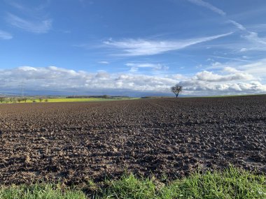 Ufukta yalnız bir ağaç, bulutlar ve yağmurdan sonra ıslak toprak parçalarıyla mavi gökyüzünün kavşağında duruyor. Güneşli havada Almanya 'da kır manzarası.