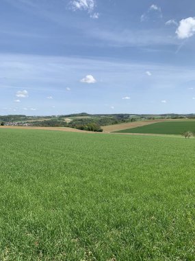 Geniş yeşil tarlaları açık mavi bir gökyüzünün altında yuvarlanan tepeler boyunca uzanan canlı bir kırsal alan. Uzakta, birkaç dağınık ağaç ve tarım arazisi tarafından çerçevelenmiş küçük bir köy görülebilir. Dikey fotoğraf