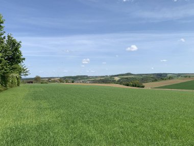 Geniş yeşil tarlaları açık mavi bir gökyüzünün altında yuvarlanan tepeler boyunca uzanan canlı bir kırsal alan. Uzaklardan küçük bir köy görülebiliyor, birkaç dağınık ağaç ve tarım arazisi tarafından çerçevelenmiş..