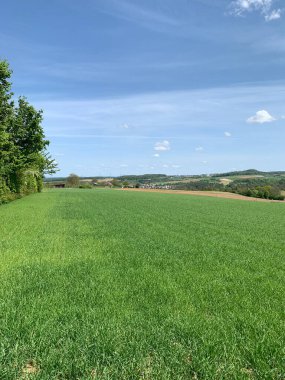 Geniş yeşil tarlaları açık mavi bir gökyüzünün altında yuvarlanan tepeler boyunca uzanan canlı bir kırsal alan. Uzakta, birkaç dağınık ağaç ve tarım arazisi tarafından çerçevelenmiş küçük bir köy görülebilir. Dikey fotoğraf