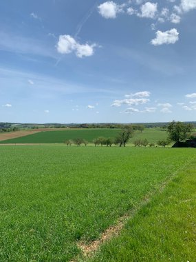 Geniş yeşil tarlaları açık mavi bir gökyüzünün altında yuvarlanan tepeler boyunca uzanan canlı bir kırsal alan. Uzaklardan küçük bir köy görülebiliyor, birkaç dağınık ağaç ve tarım arazisi tarafından çerçevelenmiş..