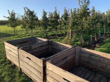 Hasat zamanının parlak kırsal manzarası. Ön planda tahta boş hasat sandıkları. Arka planda sıra sıra meyve ağaçları ve mavi gökyüzü var. Tarım ve hasat projeleri için mükemmel. Yukarıdan görüntüle