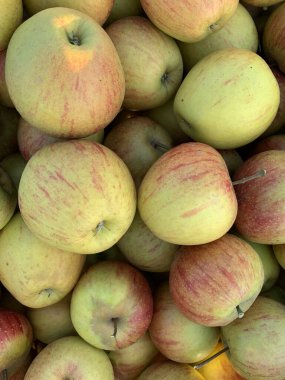 Bright pattern, apple harvest background. Ripe red and green apples close-up. Perfect for agricultural and harvest projects. clipart