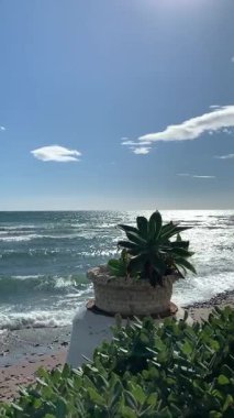 Dalgalar kıyıya vururken İspanya 'nın Endülüs kenti Costa del Sol' da güneş altında parlıyor. Bir martı meltemde süzülür, huzur dolu sahil havasına katılır..