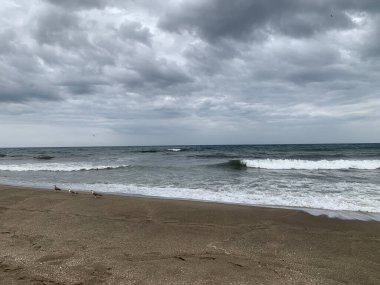Marbella, Endülüs, İspanya sahillerinde bulutlu bir gün. Dalgalar dramatik gri gökyüzünün altında kıyıya vururken birkaç martı kumlu sahil boyunca yürüyor..