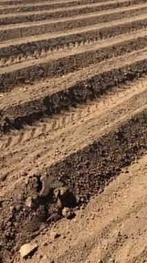 Taze sürülmüş tarlalar, hatta kuru topraklar. Kırsal kesimde güneşli bir gün. Toprağın dokusu ve çiftçilik şablonu minimalist bir soyut manzara yaratır..