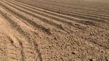 Taze sürülmüş tarlalar, hatta kuru topraklar. Kırsal kesimde güneşli bir gün. Toprağın dokusu ve çiftçilik şablonu minimalist bir soyut manzara yaratır..