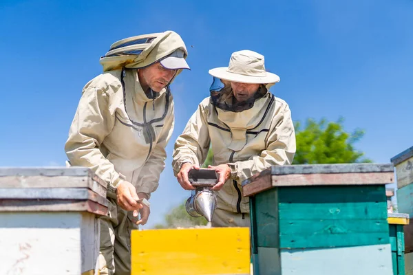 Beekeeping farming men working in protective suit. Bee farmer in beehive apiary.