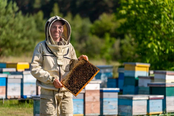 天然の蜂蜜栽培のハニカム 養蜂家は臨時で働いている — ストック写真