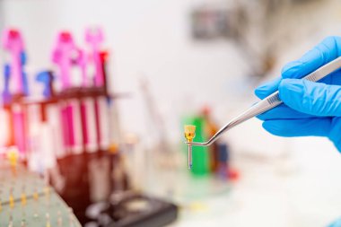 Mavi eldivenli doktor diş aletlerini tutuyor. Hastane stomatolojisi tıbbi ekipmanları.