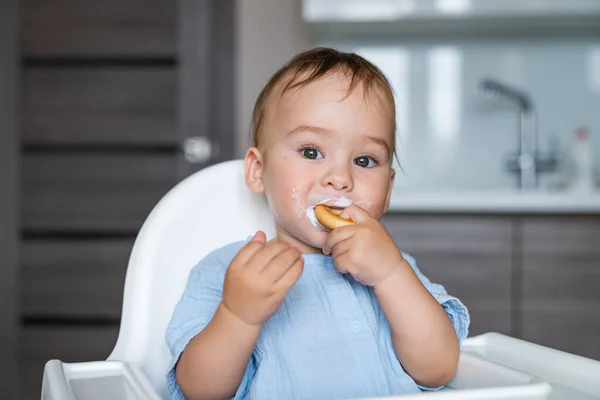 stock image baby eating food on kitchen