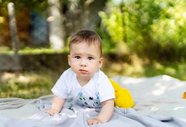 Niño Arrastra Sobre Hierba Verde Lindo Bebé Explorando Naturaleza — Foto de Stock
