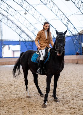 Jokey üniformalı zarif genç bir kadın. Güzel bayan ata biniyor..