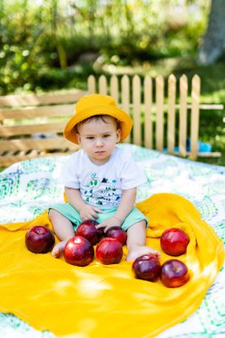 Elmalı çocuk. Piknikteki küçük mutlu bir çocuğun portresi. Bebek elma yiyor. Açık hava yaşam tarzı kavramı