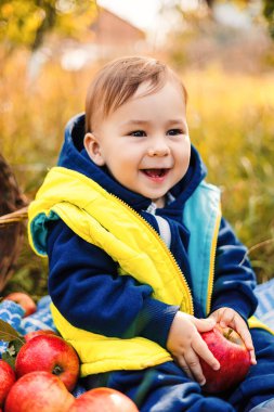 Taze elmalı güzel bir çocuk. Elma bahçesindeki küçük şirin çocuk..