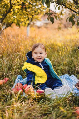 Meyve bahçesinden taze elma toplayan sevimli bebek. Çocuklar elma ağacından meyve toplar. Sonbahar bahçesinde oynayan çocuklar. Çocuk sağlıklı meyve yiyor.