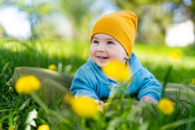Little boy in flowers field. Beautiful child portrait outdoors. Baby boy exploring nature. 