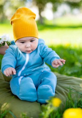 Baby boy in the park. Boy on the dandelion meadow