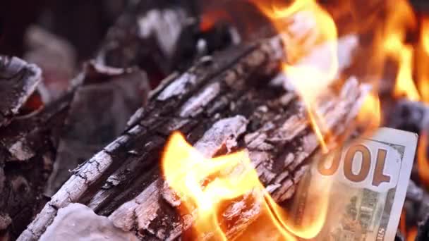 Brûler Argent Dans Feu Argent Est Dans Les Flammes Transforme — Video