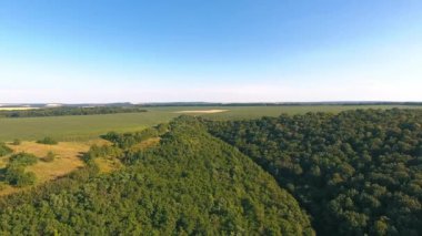 Kuş bakışı manzaralı kırsal bir yer. Kırsal kesimdeki yeşil tarımsal alanların havadan görünüşü
