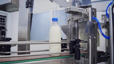 Süt üretim hattı. Endüstriyel taşıyıcıda süt şişeleri