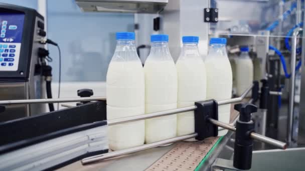 Fabrikada Süt Üretimi Fabrikada Süt Üretimi Devrede — Stok video