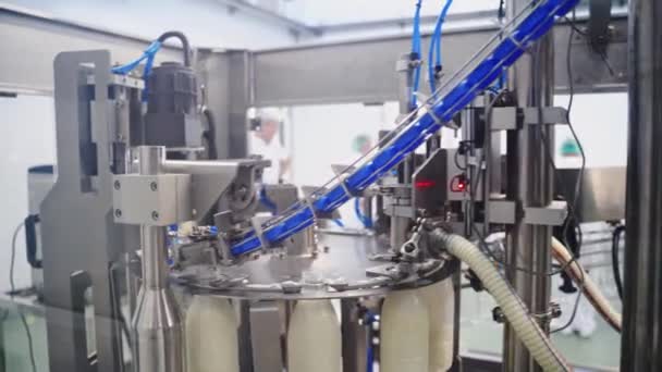 Süt Üretimi Için Ekipman Süt Sağma Salonundaki Mekanize Sağma Ekipmanlarını — Stok video