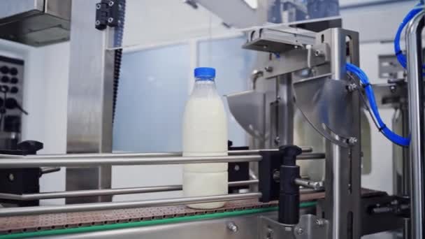 Linea Produzione Del Latte Bottiglie Latte Trasportatore Industriale — Video Stock