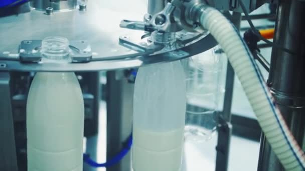 Пластикові Пляшки Наповнені Молоком Молоко Вливається Пластикову Пляшку Молочному Заводі — стокове відео