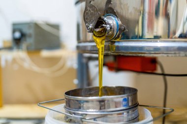 Yaz tatlı arı çiftliği balı. Bal yetiştiriciliği ekipmanı.