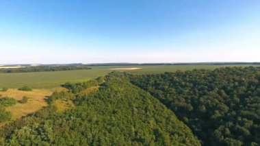 Kuş bakışı manzaralı kırsal bir yer. Kırsal kesimdeki yeşil tarımsal alanların havadan görünüşü