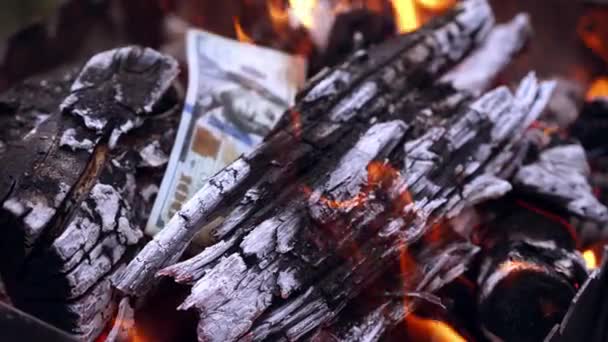 Vue Argent Feu Cent Dollars Brûlent Dans Incendie — Video