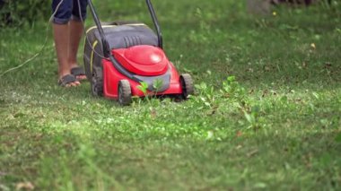 Çim biçme makinesi yeşil çimleri kesiyor