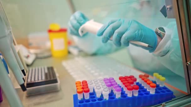 Vákuumcsövek Vérminták Gyűjtéséhez Laborban Vércső Vizsgálatot Végző Technikus Kutató Laboratóriumban — Stock videók