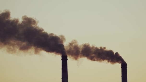 Εκπομπές Αέρα Από Ένα Βιομηχανικό Σωλήνα Στοίβα Που Απελευθερώνει Καπνό — Αρχείο Βίντεο