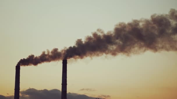 Luchtverontreiniging Door Dioxide Industriële Rook Uit Schoorsteen Tegen Zonsondergang — Stockvideo