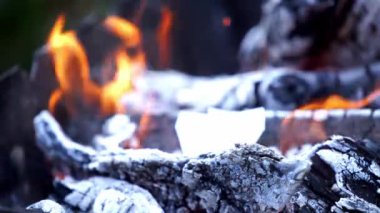 Şöminede yakacak odun. Dışarıdaki yangını söndürün.
