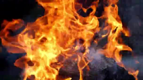 Nahaufnahme Von Loderndem Feuer Brennendes Feuer Kamin Aus Nächster Nähe — Stockvideo