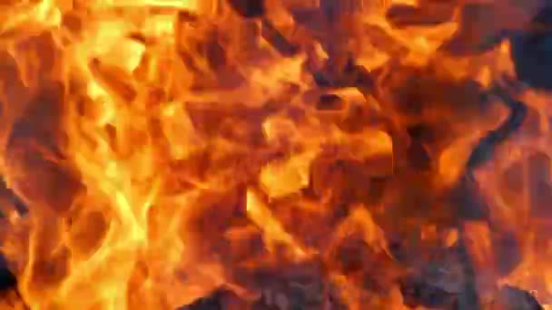 Calore Fiamma Nel Camino Primo Piano Fiamme Intense Incendio — Video Stock